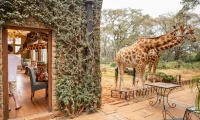 hotel_with_giraffes