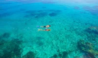 Vomo_Island_Fiji_snorkeling
