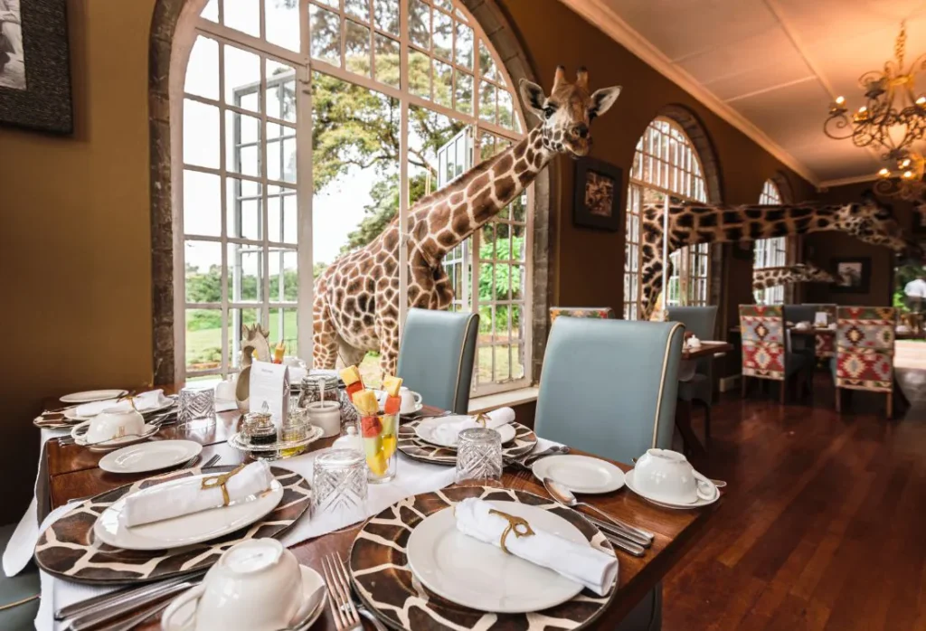 breakfast_with_giraffes