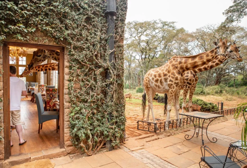 hotel_with_giraffes