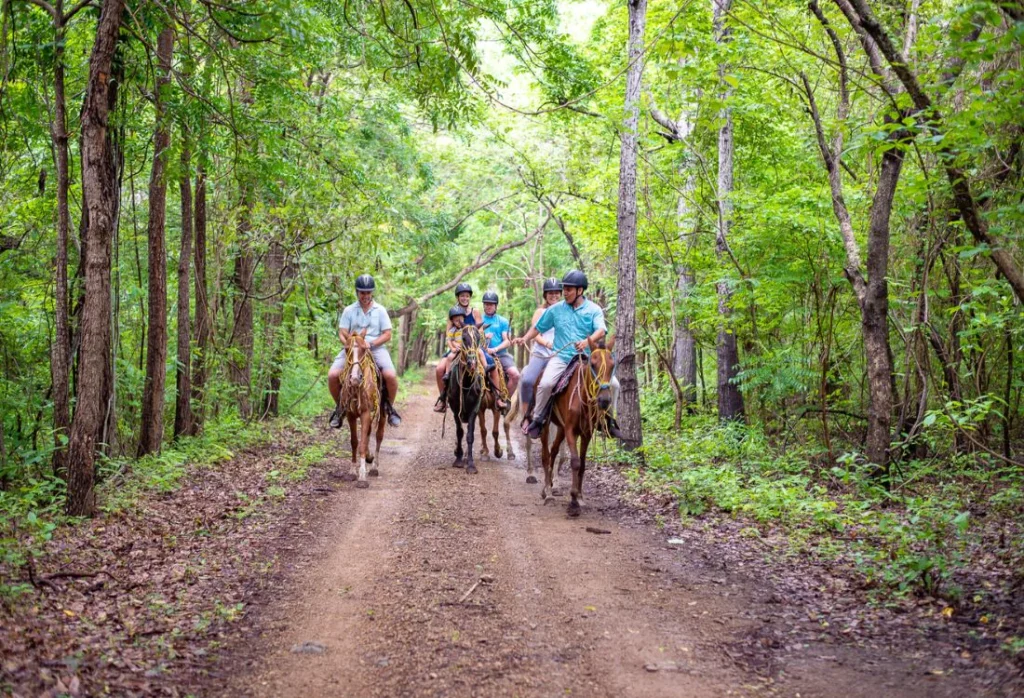 Morgans_rock_horseback_riding