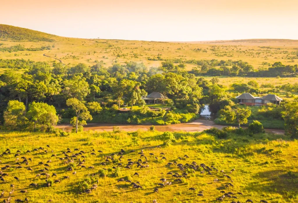 salas_camp_luxury_safari_hotel