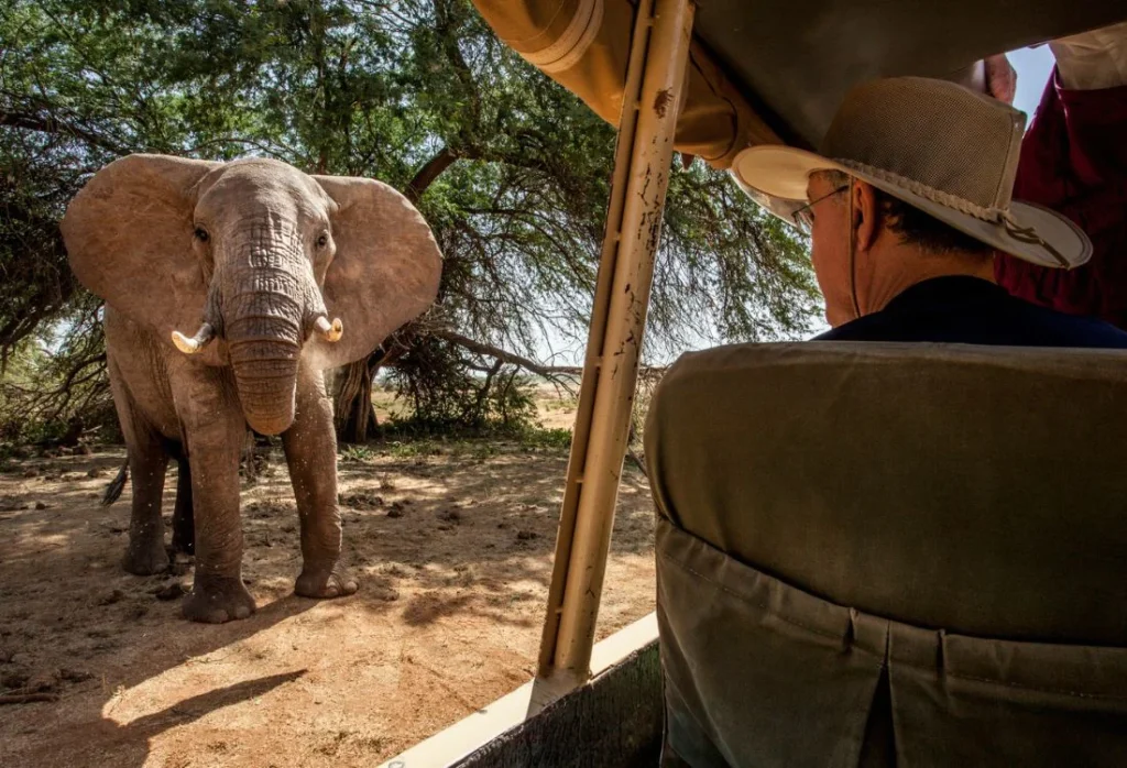 sasaab_african_safari_hotel