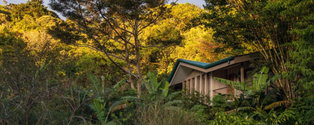 The Ultimate Guide of Senda Monteverde 10 Senda_Monteverde