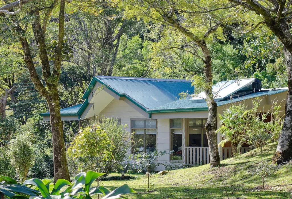 senda_monteverde