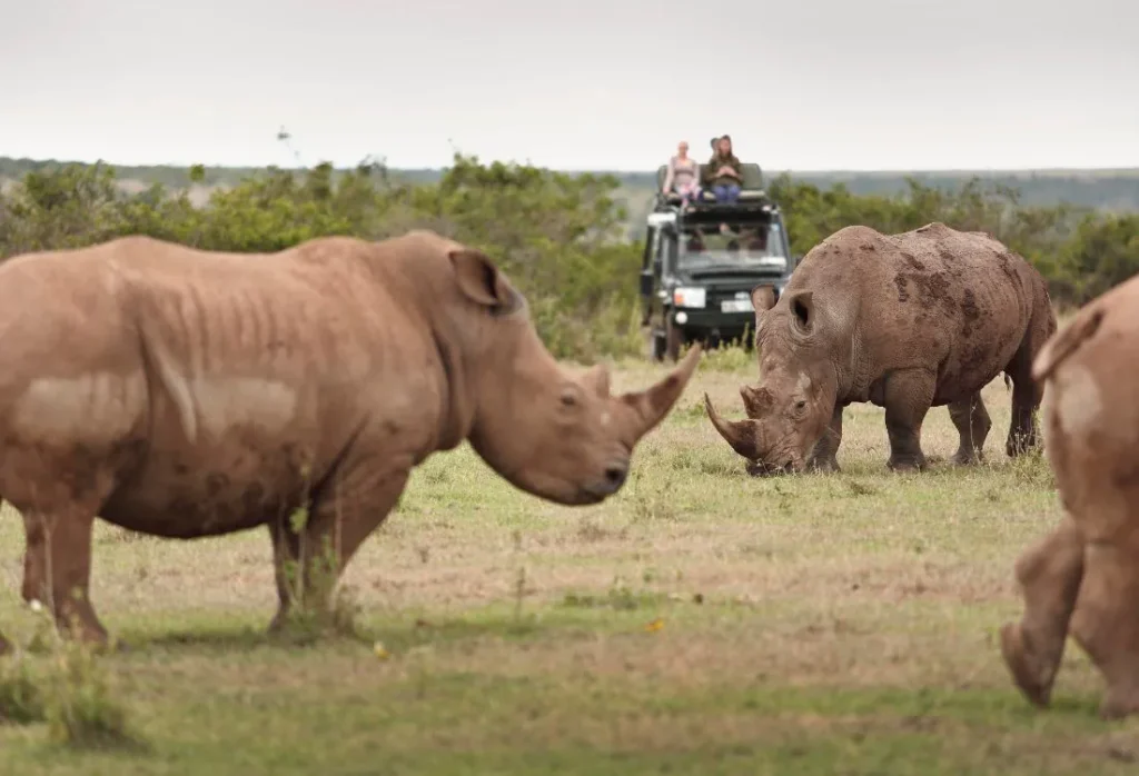 wildlife_gamedrives