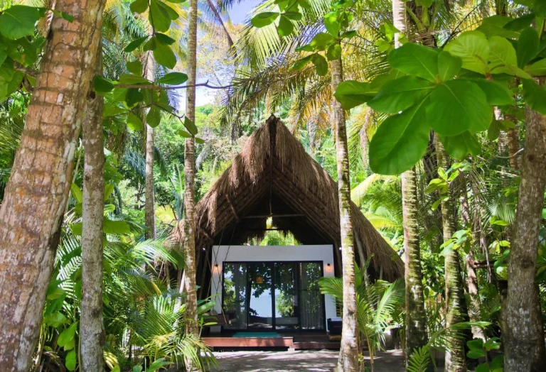 Isla_Palenque