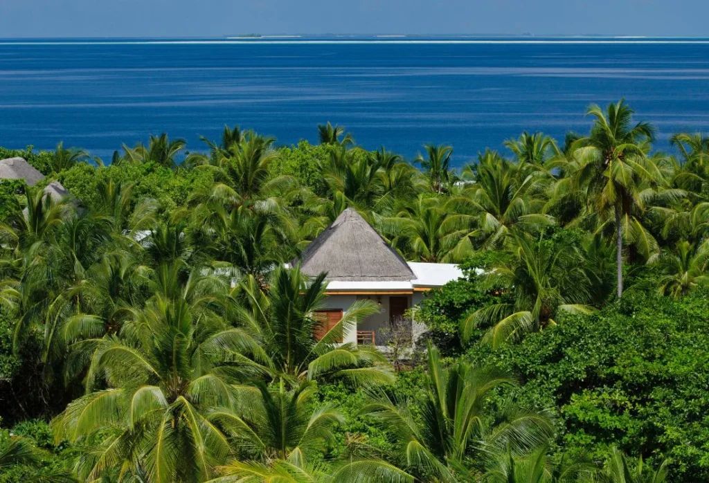 Amilla_maldives