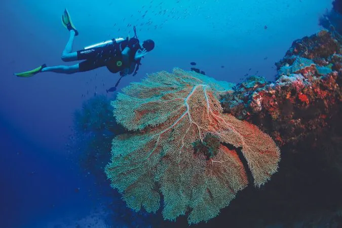 scuba_diving_maldives