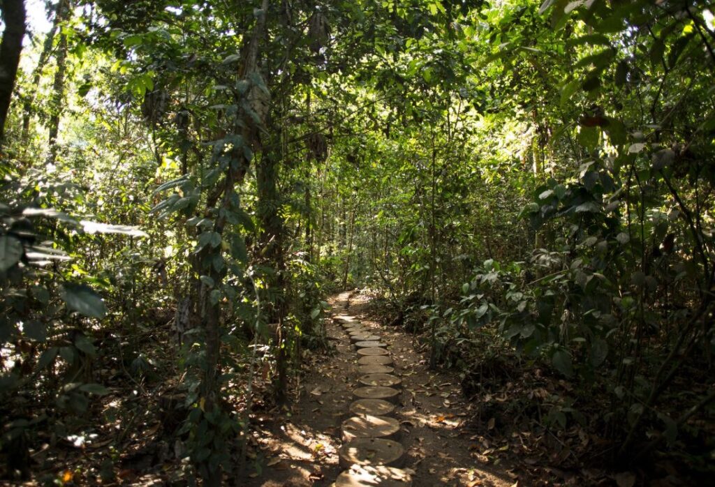 Inkaterra-Reserva-Amazonica