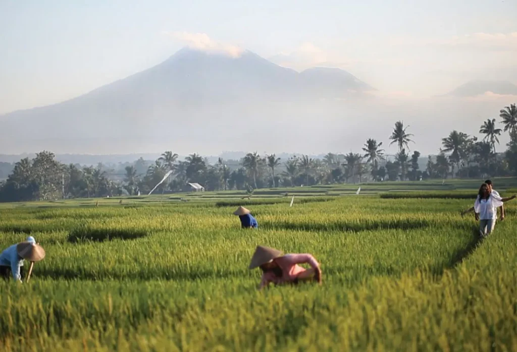 soori_bali