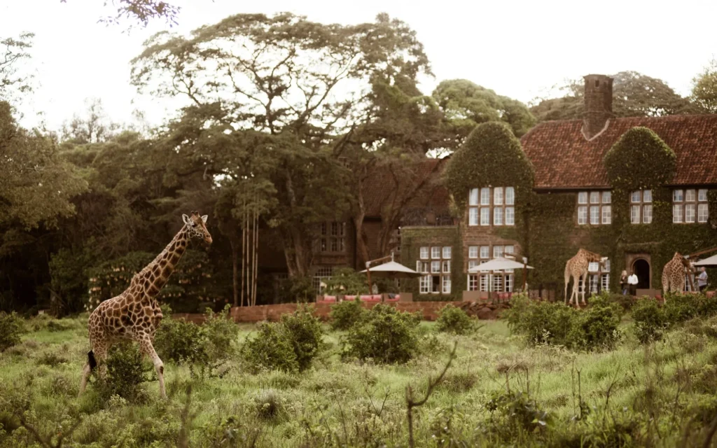 A Journey Through Ownia's Diverse Member Hotels 7 giraffe_manor