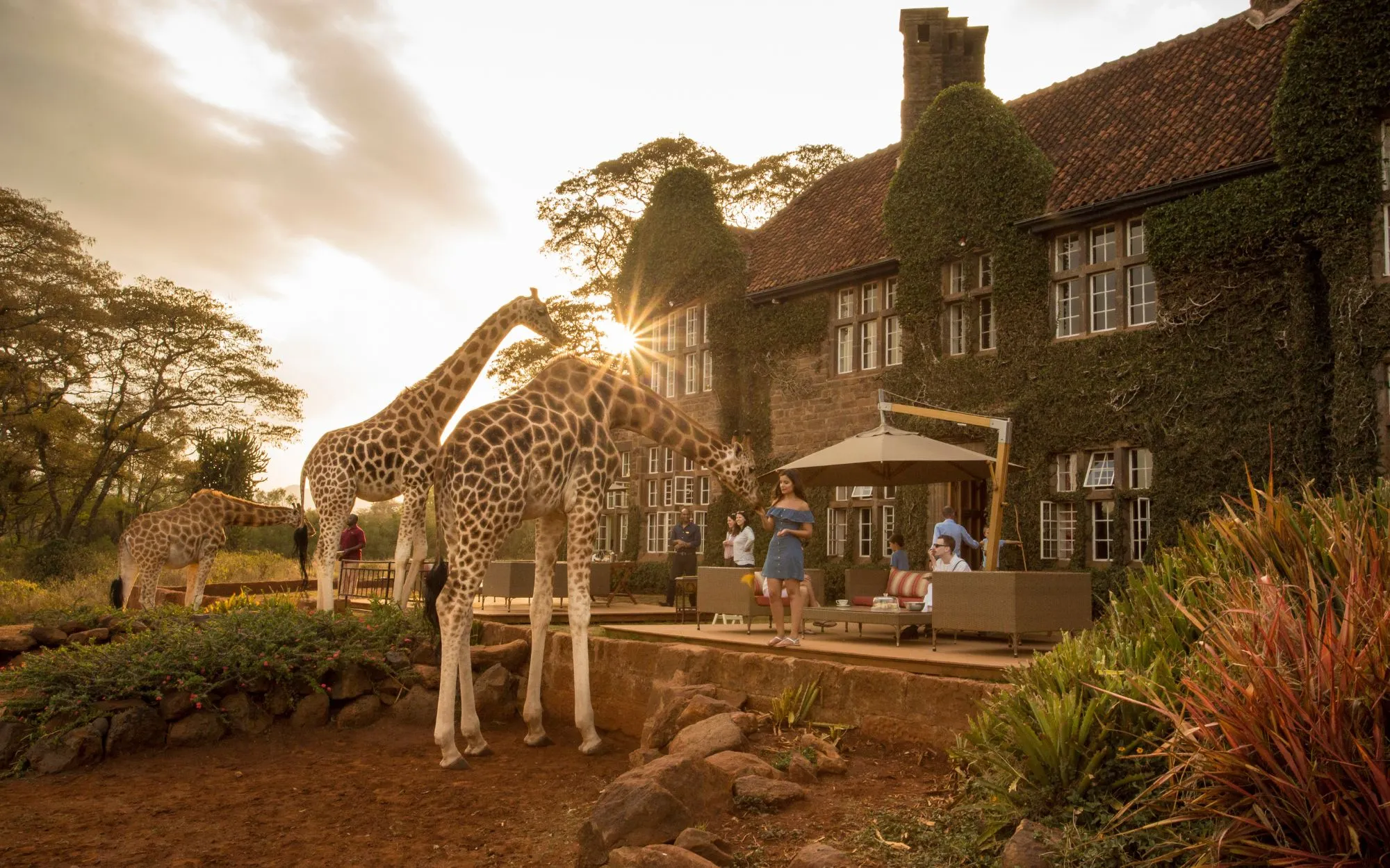 giraffe_manor