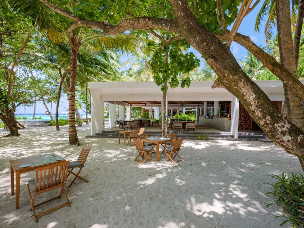 chill_cafe_best_restaurants_in_the_maldives
