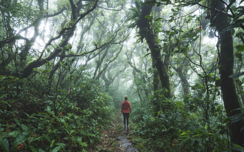 jungle_trek_nicaragua