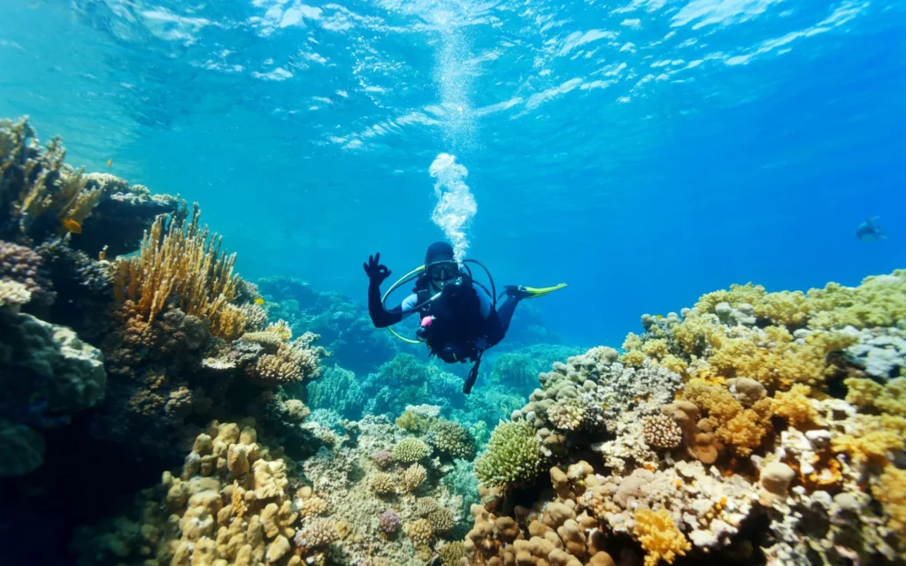 scuba_diving_antigua