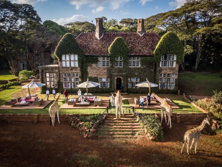 giraffe_manor
