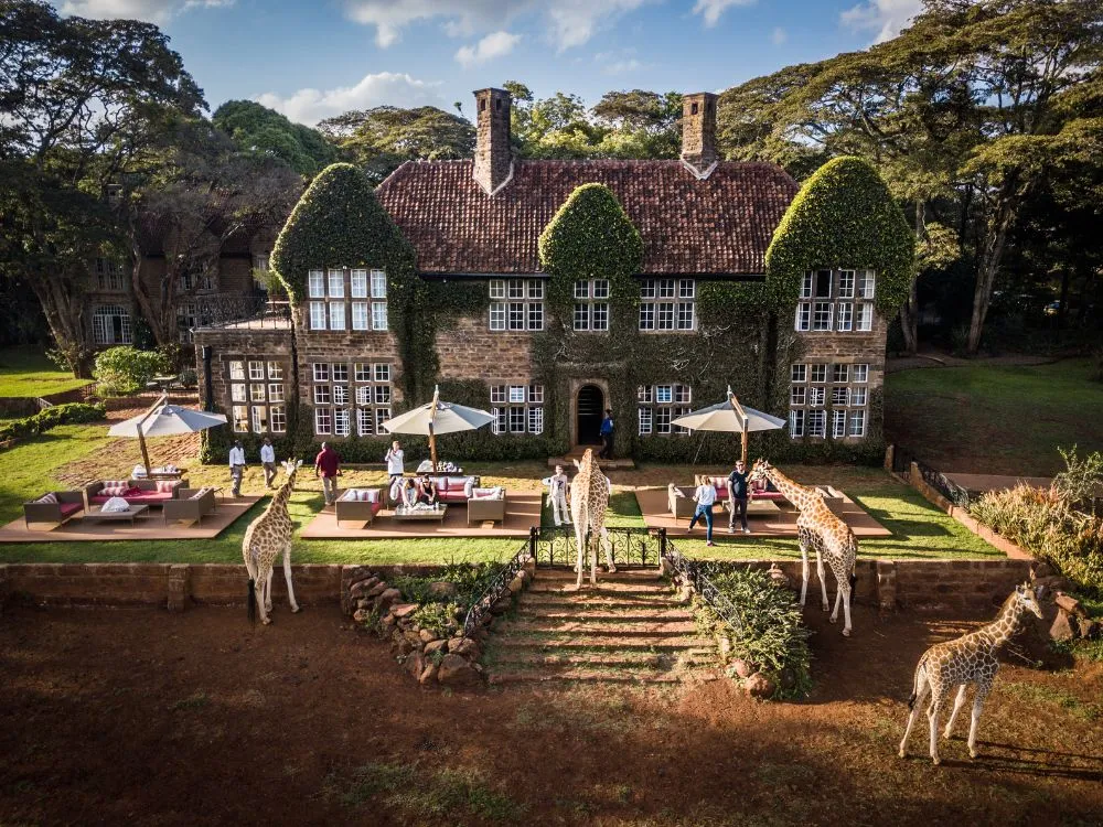 giraffe_manor
