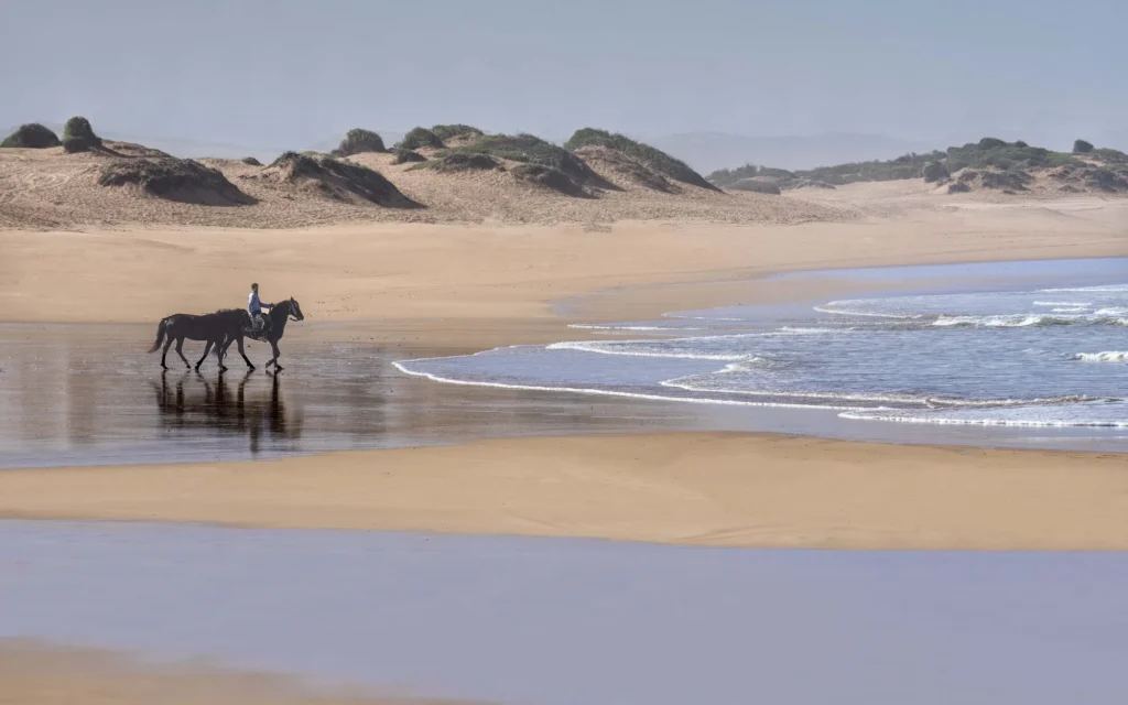 horseback_riding_in_Morocco