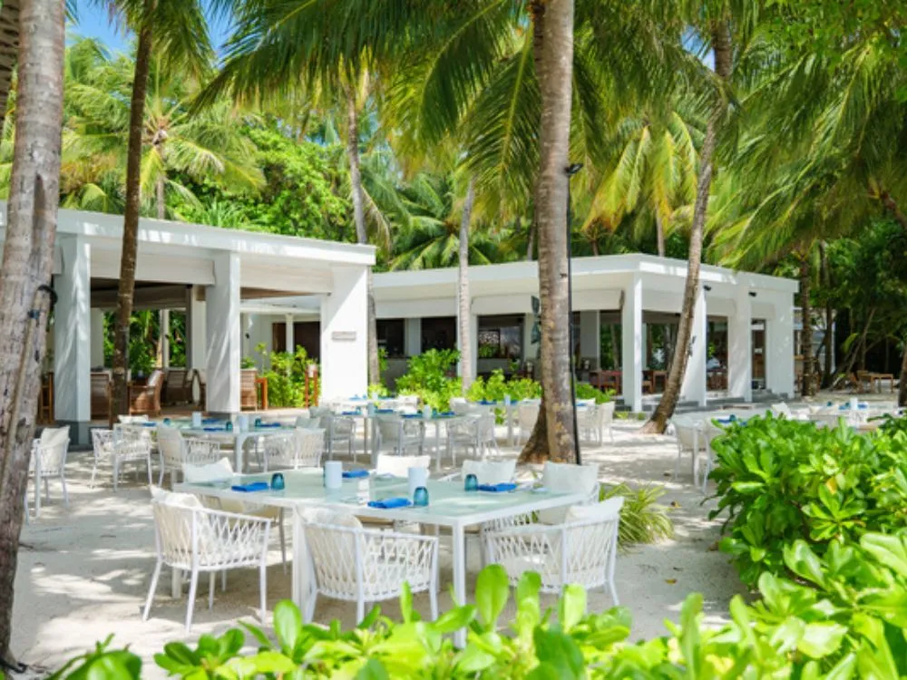 barolo_best_restaurants_in_the_maldives