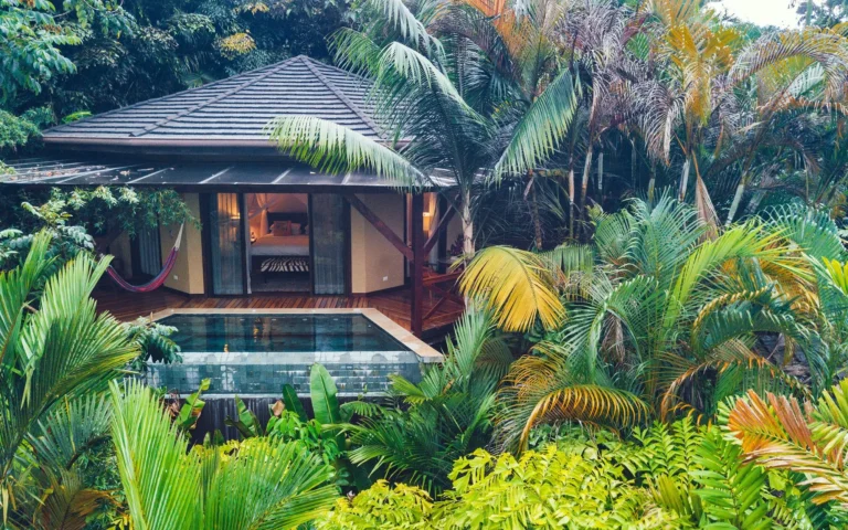 Nayara_springs_rooms_Ownia_Collection