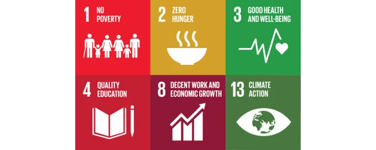 Ownia_Collection_Impact_pillars_community