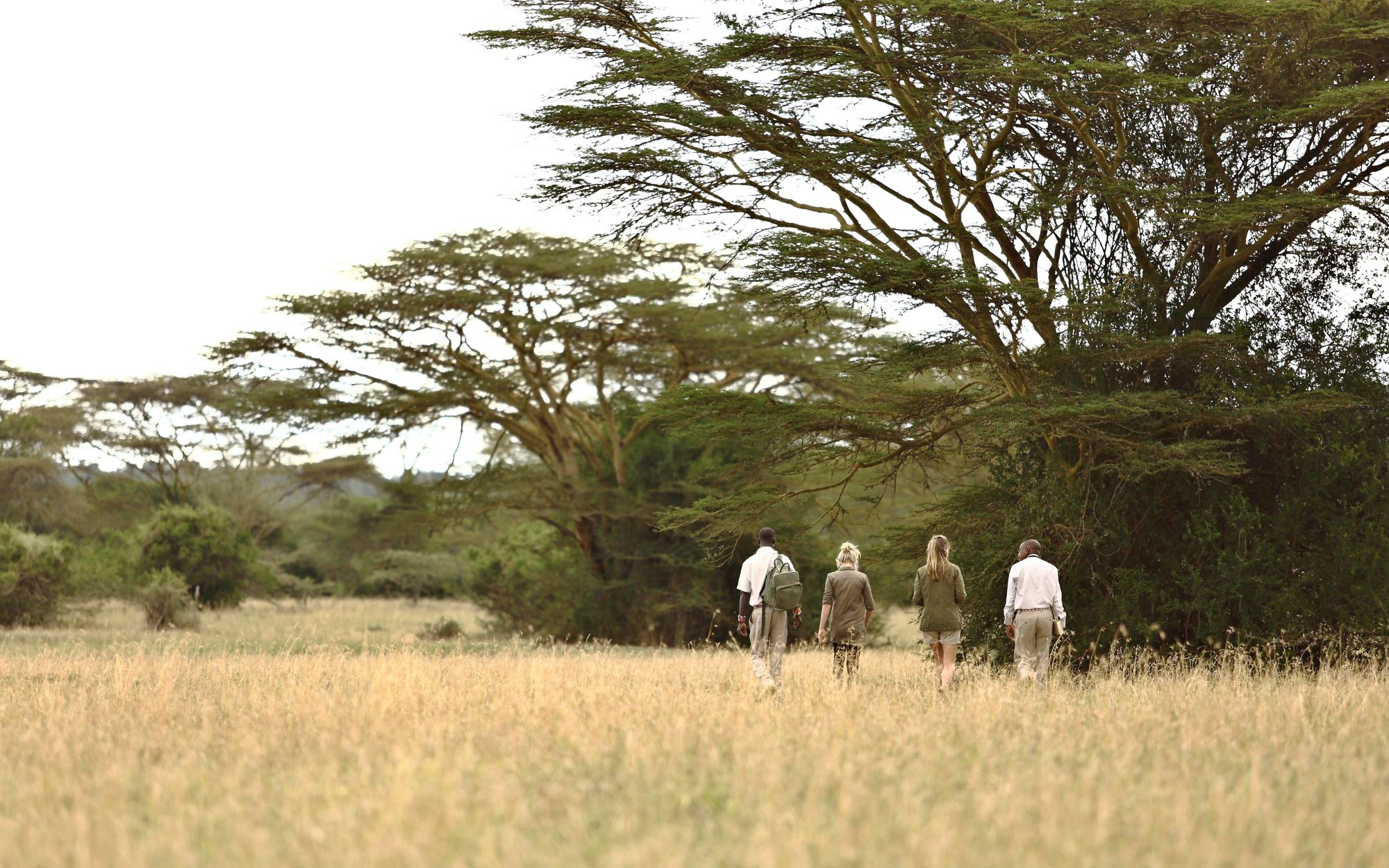Solio_lodge_african_safari
