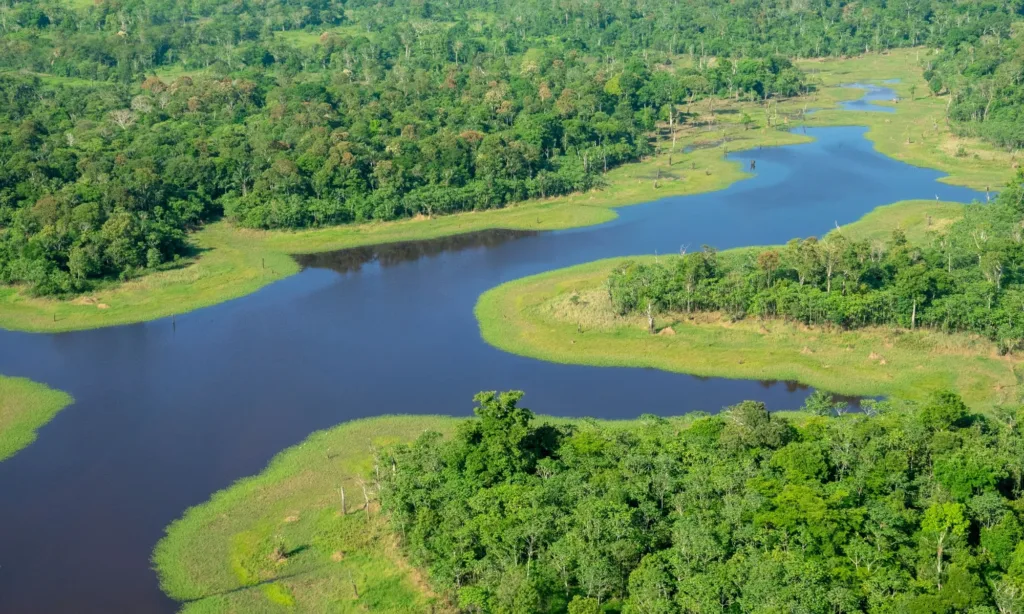Amazon_sustainability