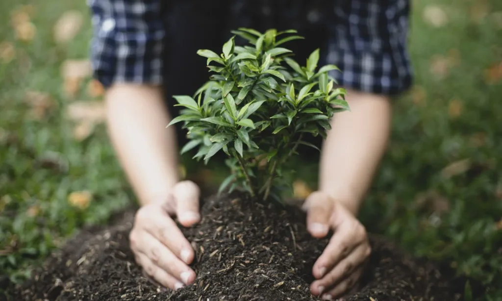 planting_trees
