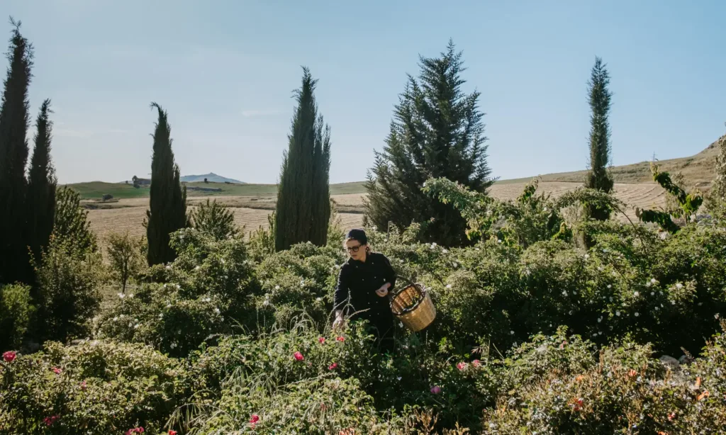 Farm_to_table_susafa