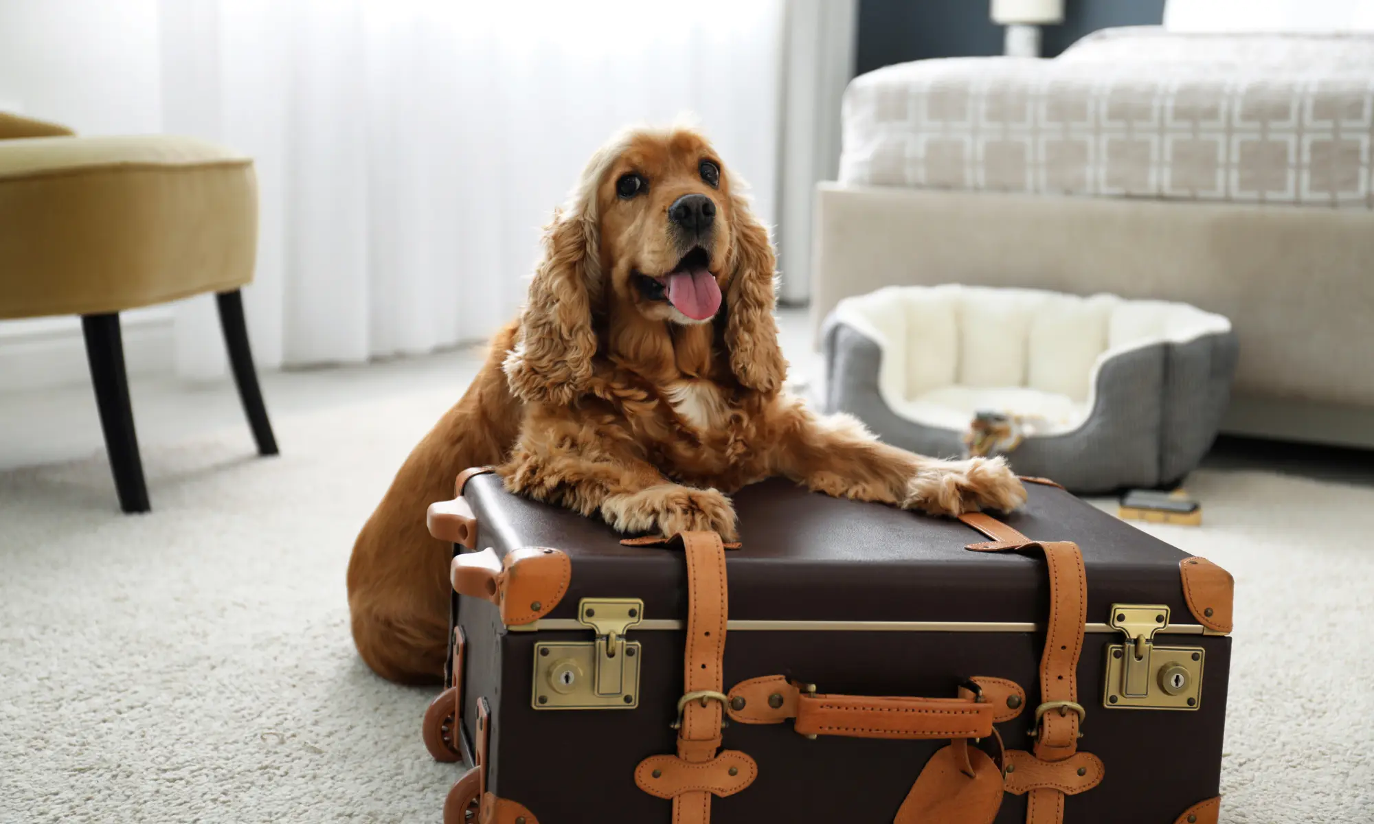 packing_tips