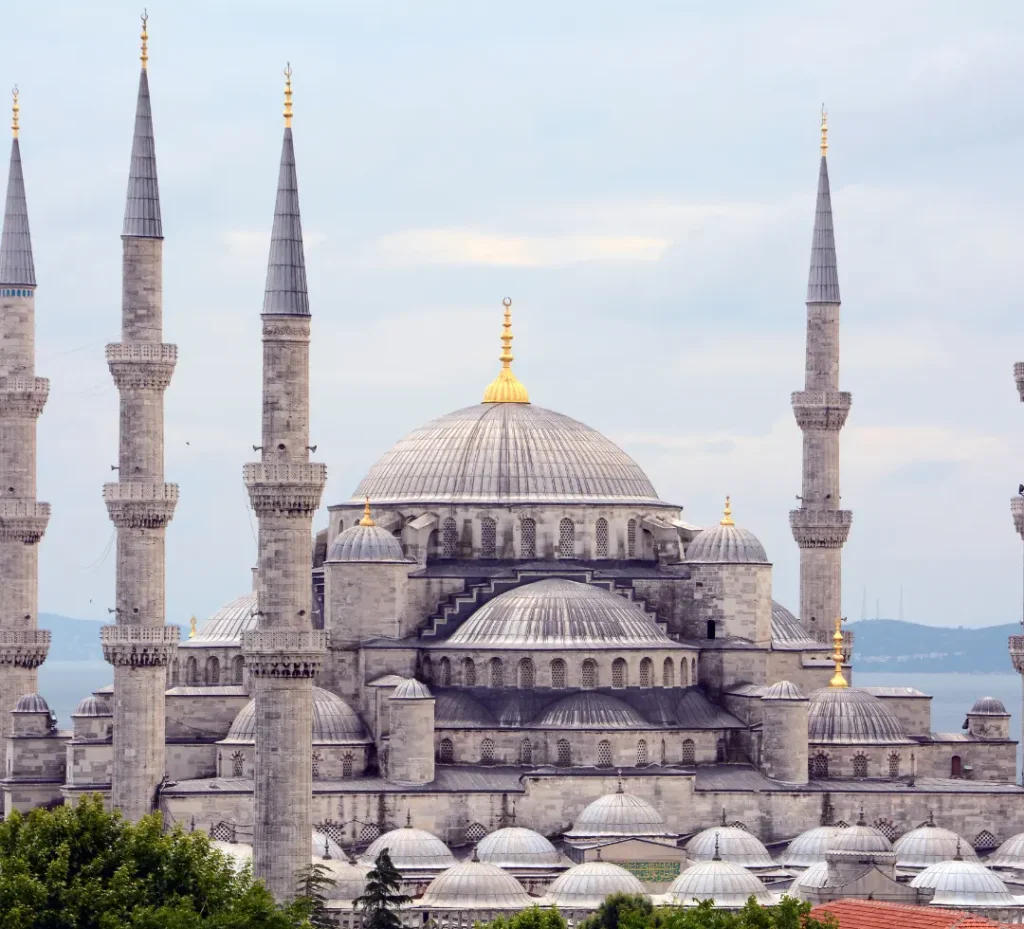 turkey