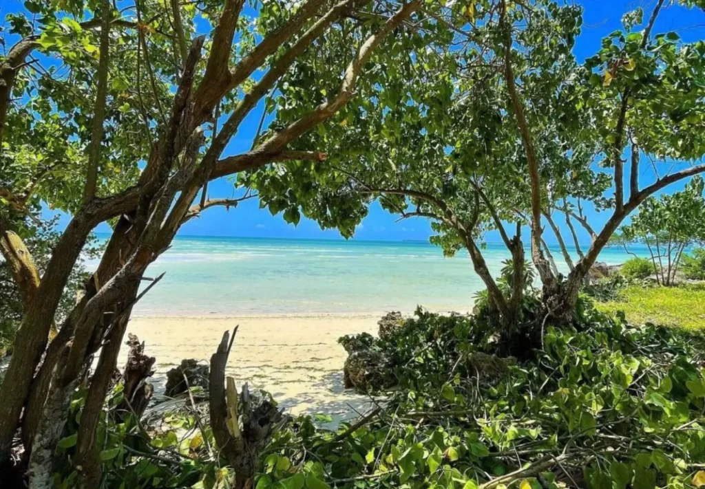 zanzibar_beach