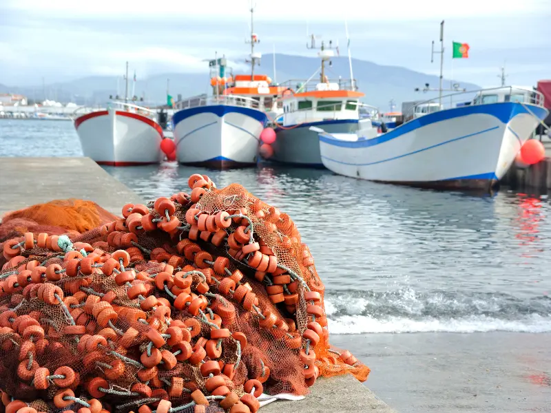 fishing_azores_portugal