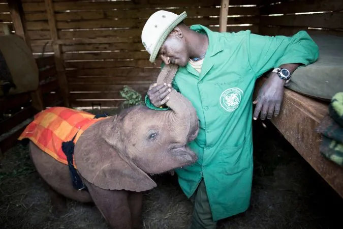 elephant_sanctuary