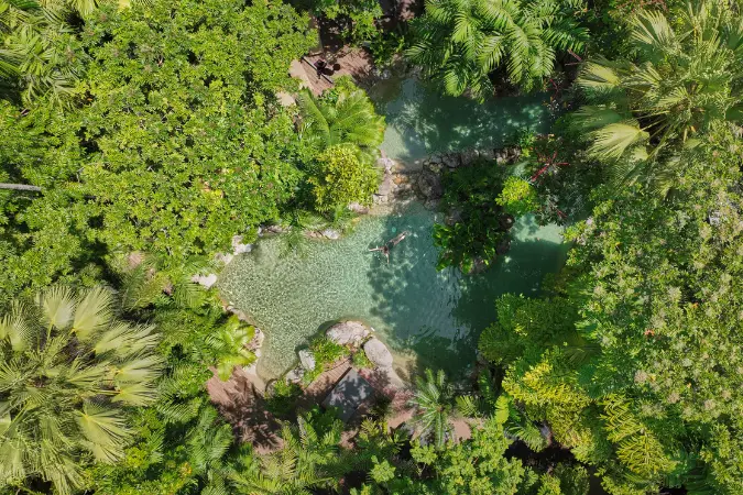 Silky_Oaks_Lodge
