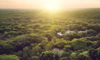 chable_yucatan