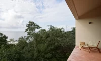 Cocolia_mazunte
