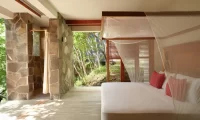 Cocolia_mazunte