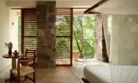 Cocolia_mazunte