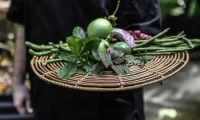 Silky_Oaks_Lodge