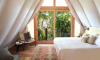 Our_habitas_bacalar_jungle_room