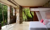 Cocolia_mazunte