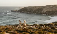 Southern_Ocean_Lodge