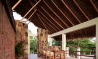Cocolia_mazunte