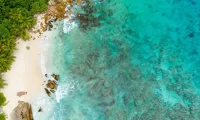 Cousine_Island