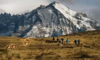Tierra_Patagonia