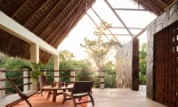 Cocolia_mazunte