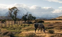 Tierra_Patagonia