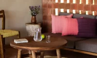 Cocolia_mazunte
